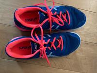 ASICS Damen Hallenschuhe 41,5 Hessen - Biebesheim Vorschau