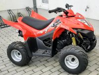 Kymco Maxxer 50 Neu das letzte Brandenburg - Werder (Havel) Vorschau