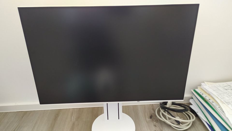 EIZO Bildschirm EV2456 24,1" weiss in Nußloch