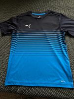 Puma Shirt für Jungen Dortmund - Lütgendortmund Vorschau