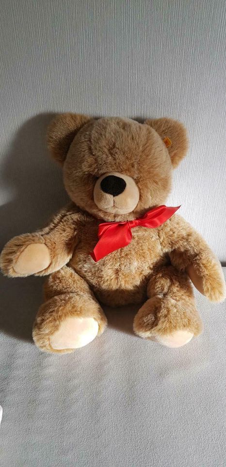 Steiff Teddy "Bobby" 50cm, Versand mgl. in Bernsdorf