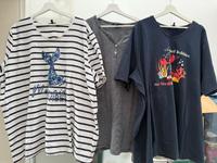 Tolles T-Shirt Paket von Ulla Popken 58/60 Nordrhein-Westfalen - Kerpen Vorschau
