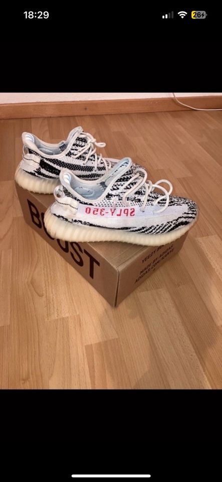 Adidas Yeezy Boost 350 - Zebra in Köln