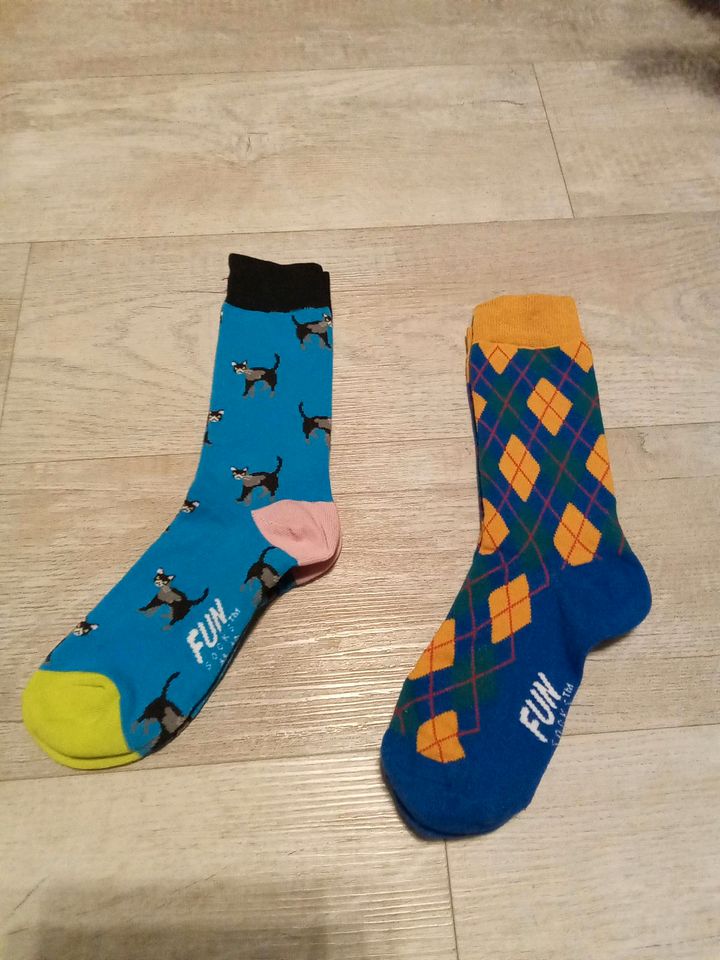 Fun Socks, lustige Socken mit Katzen und Muster Gr. 41-46 Neu!!!! in Ganderkesee