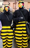 Karnevalskostüm  BIENEN one Size Rheinland-Pfalz - Kirchweiler Vorschau