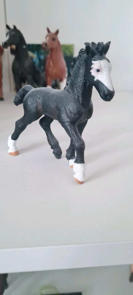 Schleich Repaints in Frankfurt (Oder)