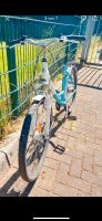 Fahrrad Damen Herren Kinder Pegasus 26 Zoll Düsseldorf - Stadtmitte Vorschau