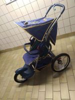 Babyjogger Sport Buggy Kinderwagen Outdoor Jogging by Marco Hessen - Driedorf Vorschau