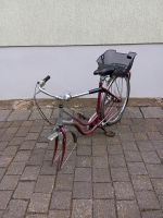 Fahrrad Damenrad 28" Nabenschaltung Scheunenfund Sachsen-Anhalt - Wolferstedt Vorschau