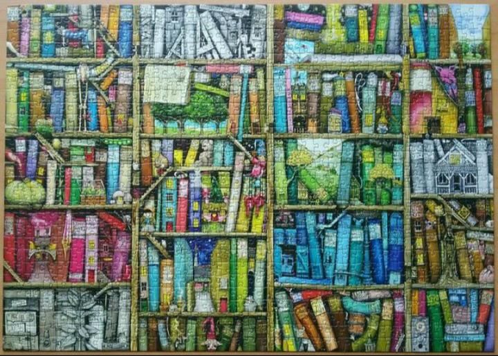 Ravensburger Puzzle 1000 Teile Magisches Bücherregal in Bruchköbel