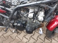 Kawasaki ZR-7S ZR-7 ZR750F 01-03 Motor zu verkaufen Bayern - Altfraunhofen Vorschau