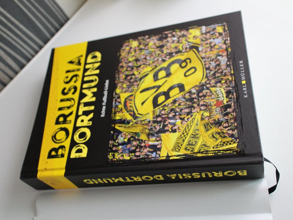 BVB Fanset, BVB Buch, BVB Tassen, NEU/Neuwertig in Nürnberg (Mittelfr)