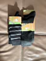 Herren Kinder 2 x 3 Socken Größe 39 - 42 neu Rheinland-Pfalz - Limburgerhof Vorschau