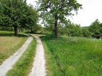 Sonniges Freizeitgrundstück mit toller Fernsicht Baden-Württemberg - Bad Friedrichshall Vorschau