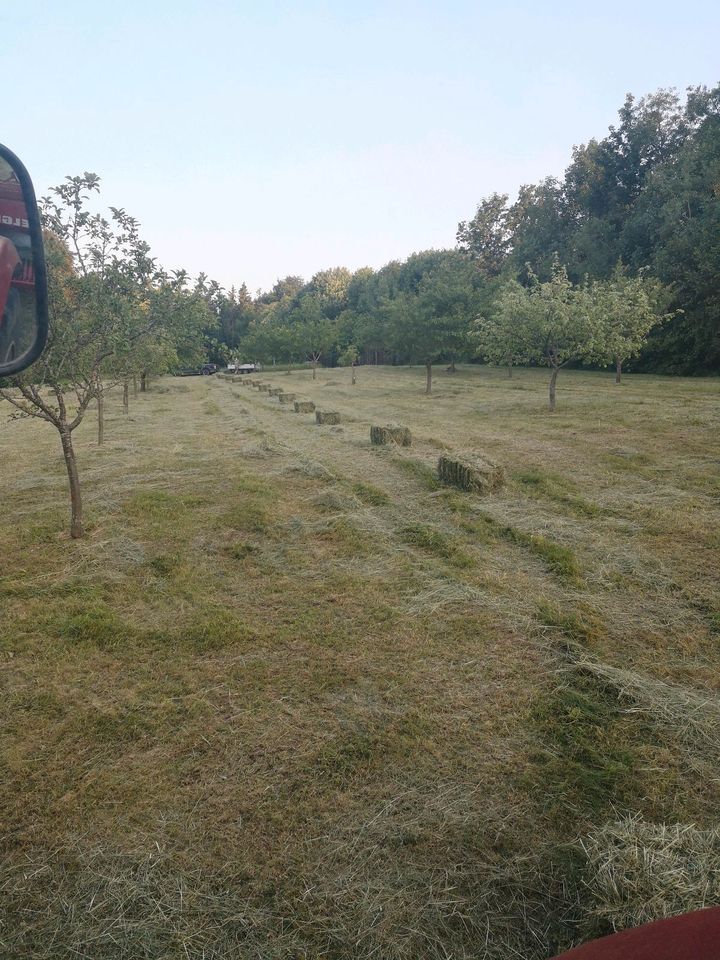 Heu HD Kleinballen in Schömberg b. Württ