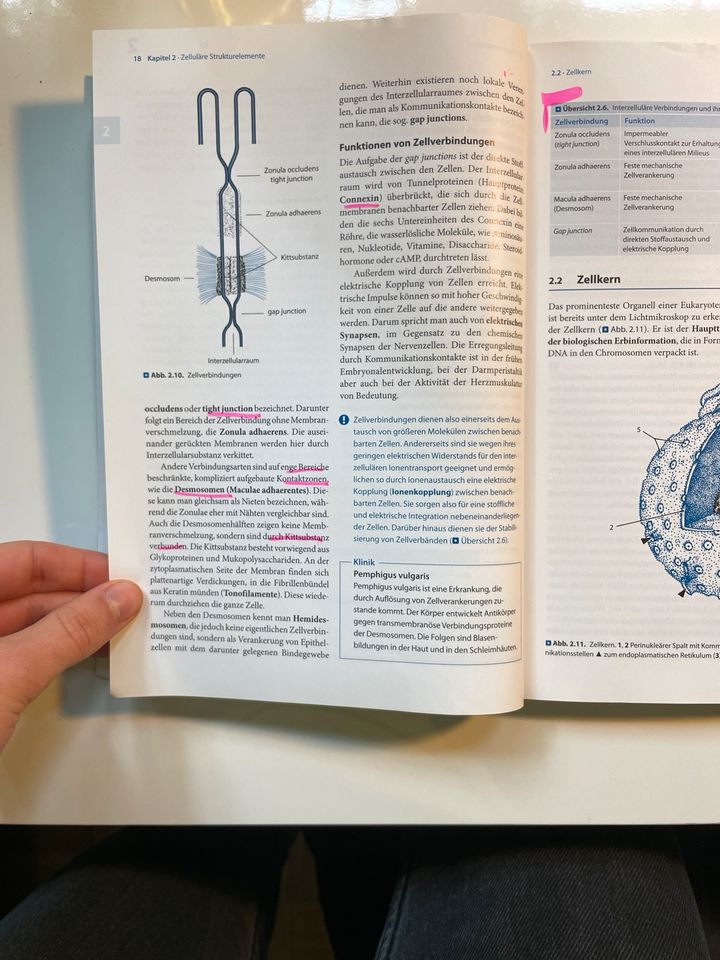 Biologie für Mediziner in Stuttgart