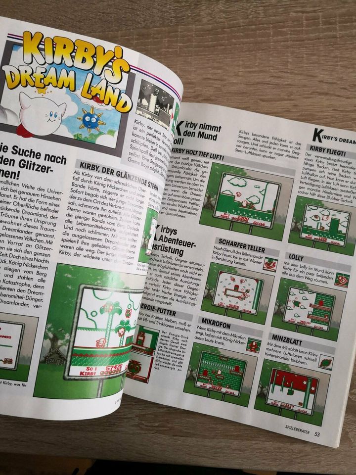 Nintendo Gameboy Spieleberater Lösungsbuch Zeitschrift in Flensburg