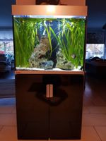 Eheim Aquarium 200 Liter Hochglanz schwarz Hamburg - Hamburg-Nord Vorschau