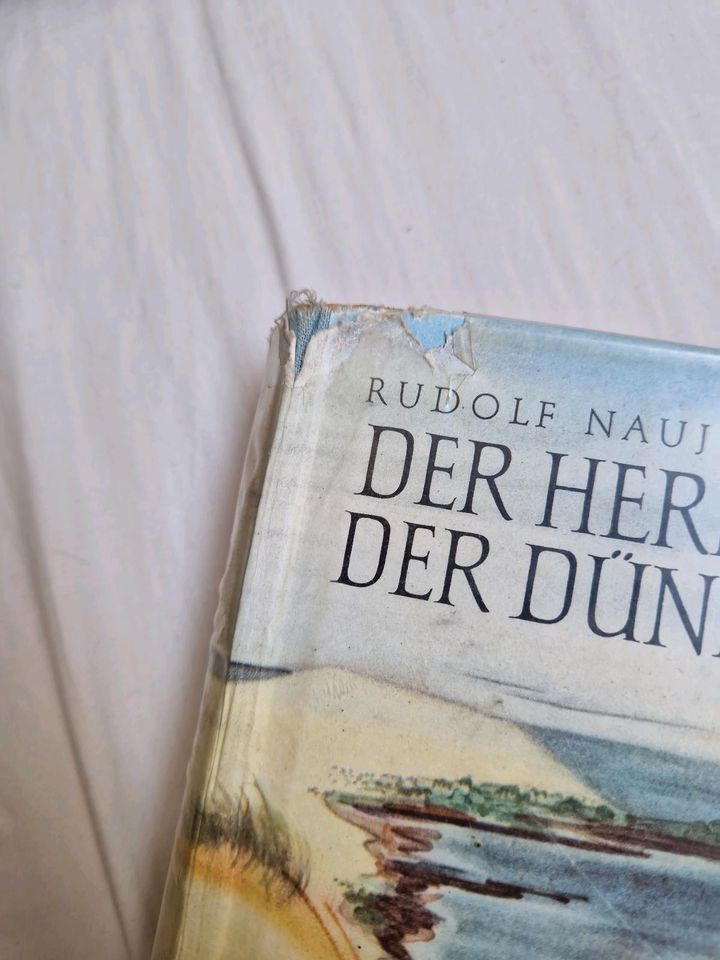 Der Herr der Düne von Rudolf Naujok (1955) in Unterschwaningen