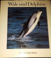 Bücher "Wale und Delphine" und "Haie" Bayern - Regensburg Vorschau