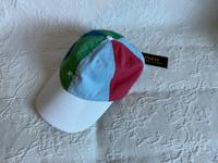 Polo Ralph Lauren Kappe Cap Color Block Mehrfarbig bunt Sport NEU Wuppertal - Langerfeld-Beyenburg Vorschau