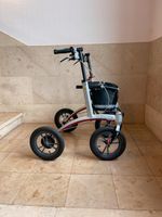 Rollator / Gehwagen - Trionic Walker 12"er (Größe M/L) schwarz-schwarz-grau Nordrhein-Westfalen - Detmold Vorschau