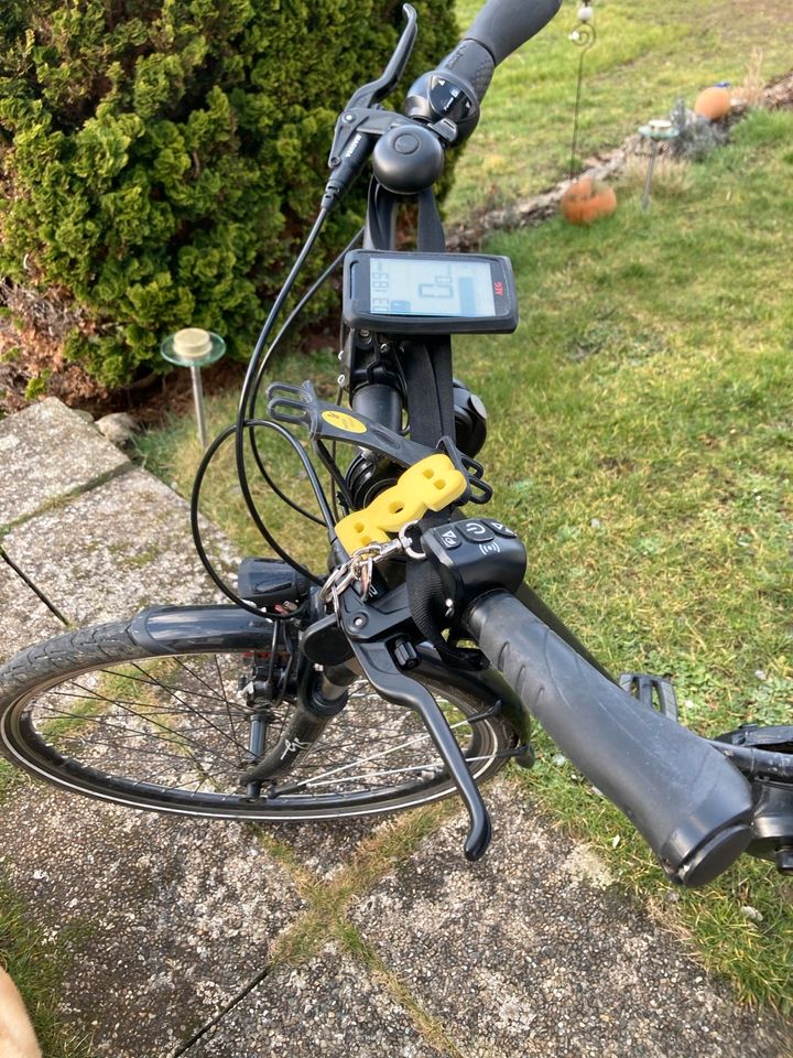 E-Bike PROPHETE“ Modell GENIESSER e8.8 Damenrad Tiefeneinstieg in Lüneburg