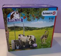 Schleich gebraucht 42104 Schleswig-Holstein - Rodenbek Vorschau