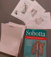 Sobotta Lernkarten- Anatomie /Knochen Gelenke Bänder Medizin Sachsen-Anhalt - Halle Vorschau