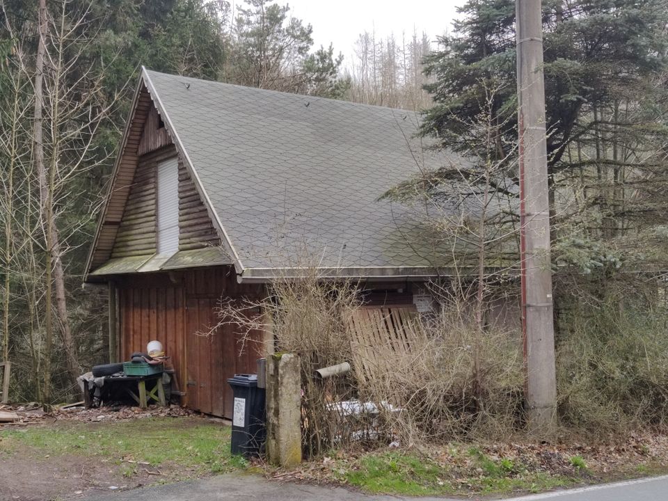 Großes naturbelassenes Grundstück in Sonneberg-Hüttensteinach in Sonneberg