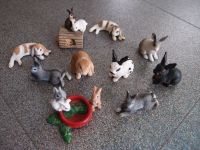 10x SCHLEICH KANINCHEN Hasen OSTERN Sammlungsauflösung Baden-Württemberg - Bietigheim-Bissingen Vorschau