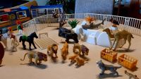 Playmobil Zirkus u. Zoo Zubehör ❣50 Teile❣ Bayern - Marktredwitz Vorschau