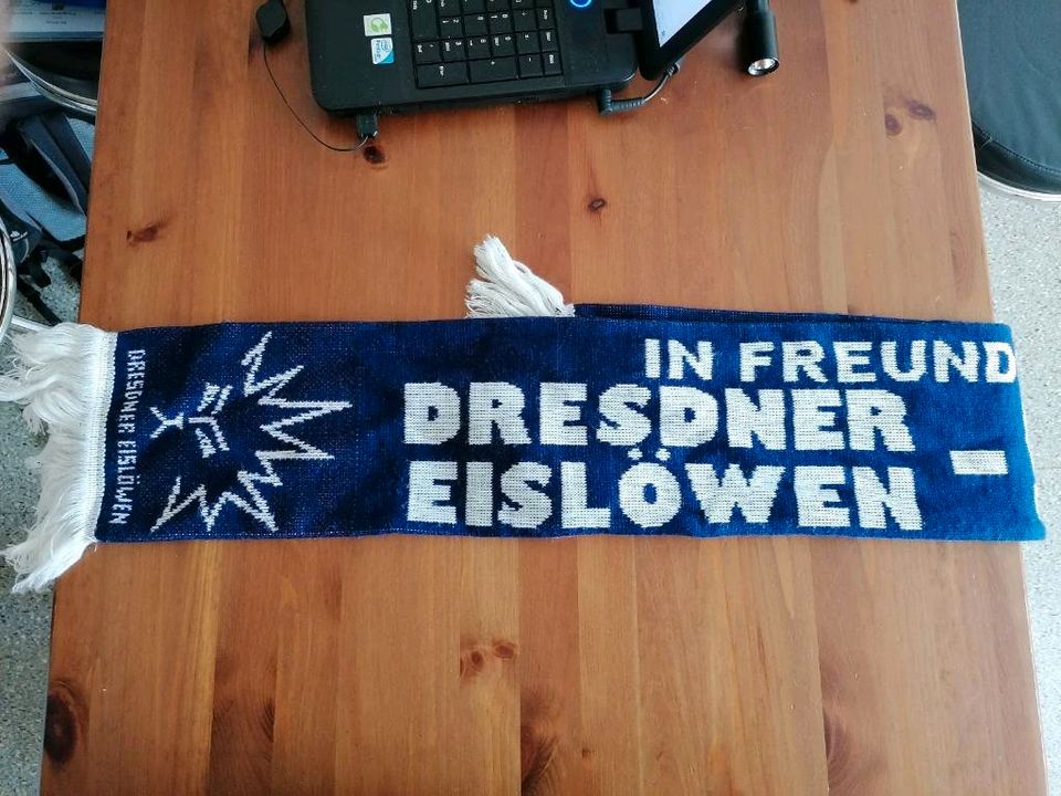 Ich verkaufe 6 Fanschals von den Dresdner Eislöwen in Dresden