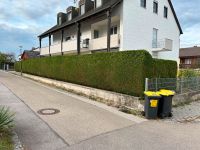 Heckenschnitt, Hecke schneiden, Hecke einkürzen Bayern - Königsbrunn Vorschau