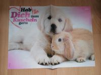 Bravo Poster mit Hund + Hase die kuscheln und Spring Breakers Hannover - Herrenhausen-Stöcken Vorschau