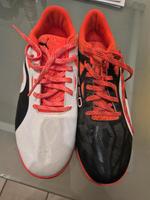 Puma evospeed Turnschuhe / Hallenschuhe Bayern - Windsbach Vorschau