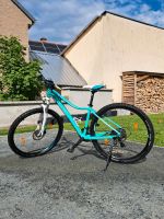 Cube Access WLS Dise 29 Zoll Bj: 2016 Mountainbike mint-weiß Sachsen - Syrau Vorschau