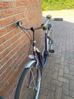 Fahrrad zu verkaufen Niedersachsen - Aurich Vorschau