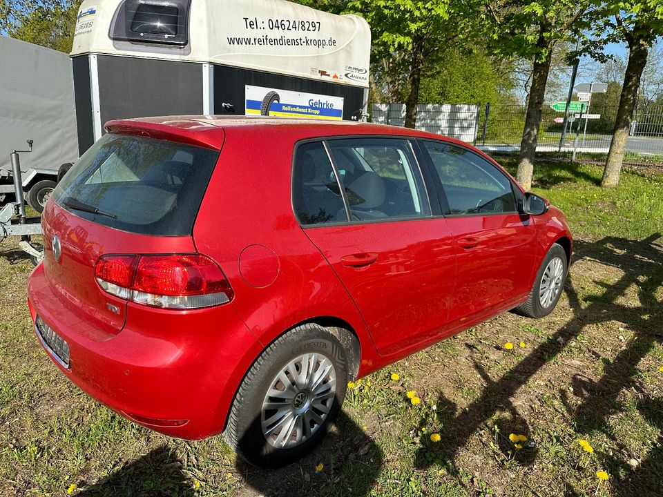 VW Volkswagen Golf 1.6 TDI in Owschlag