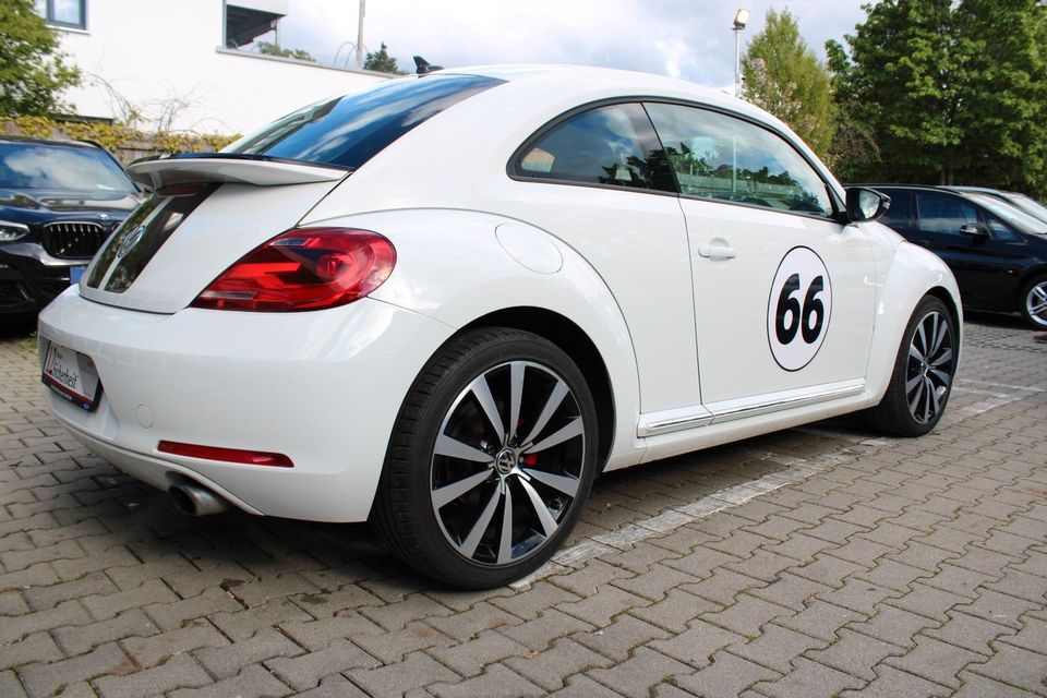 Volkswagen Beetle Lim. Sport in München