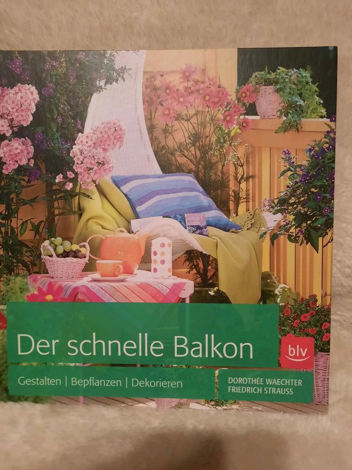 Der schnelle Balkon gestalten bepflanzen dekorieren Garten in Wuppertal