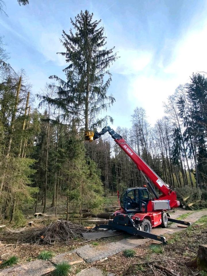 Magni Fällkran Kinshofer Baumschere uniforest Sortiergreifer in Nürnberg (Mittelfr)