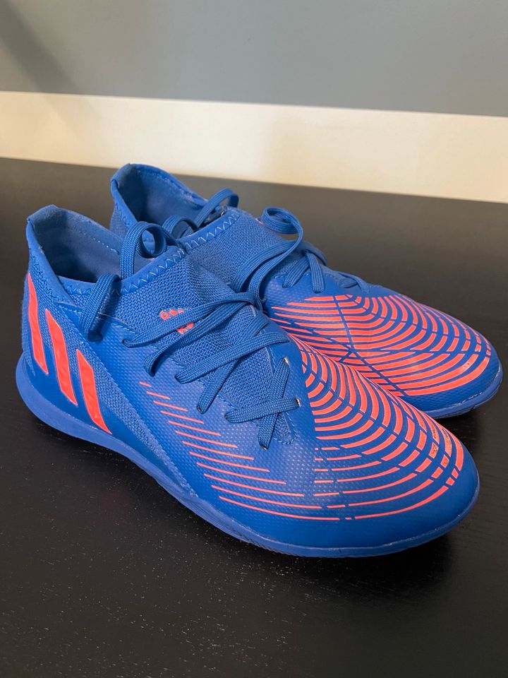 Adidas Predator Hallenfußballschuhe Gr. 36 in Brietlingen