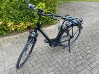 E Bike Dynamics Baden-Württemberg - Sinsheim Vorschau