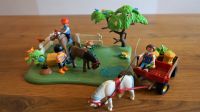 Playmobil 5457 Ponykoppel mit Ponywagen (64) Bayern - Kammlach Vorschau