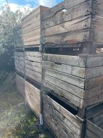 Großkisten für Hochbeet oder Lagerung Niedersachsen - Hollern-Twielenfleth Vorschau
