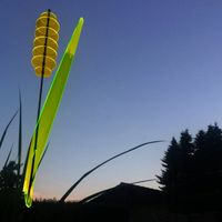 Leuchtendes Schilfgras, Sonnenfänger, Gartendeko, Geschenk, Groß Niedersachsen - Wilhelmshaven Vorschau