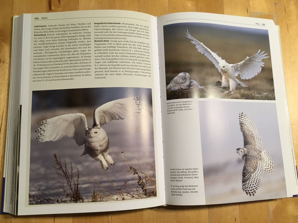 Buch „Handbuch Eulen der Welt“ Vogelbuch Ornithologie in Würzburg