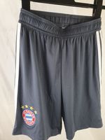 FC Bayern München Trikot Sporthose Größe S Schleswig-Holstein - Steinfeld Vorschau