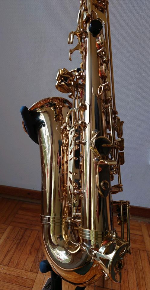 Thomann TAS-150 Alt Saxophon, viel Zubehör, ideal für Anfänger in Hamburg